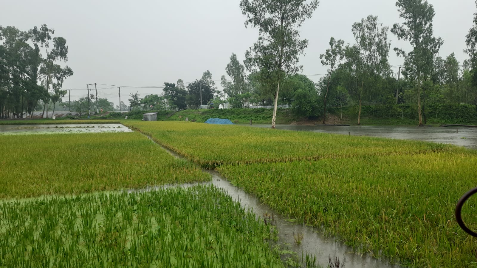 banglahour