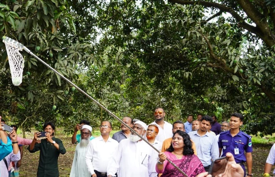 banglahour