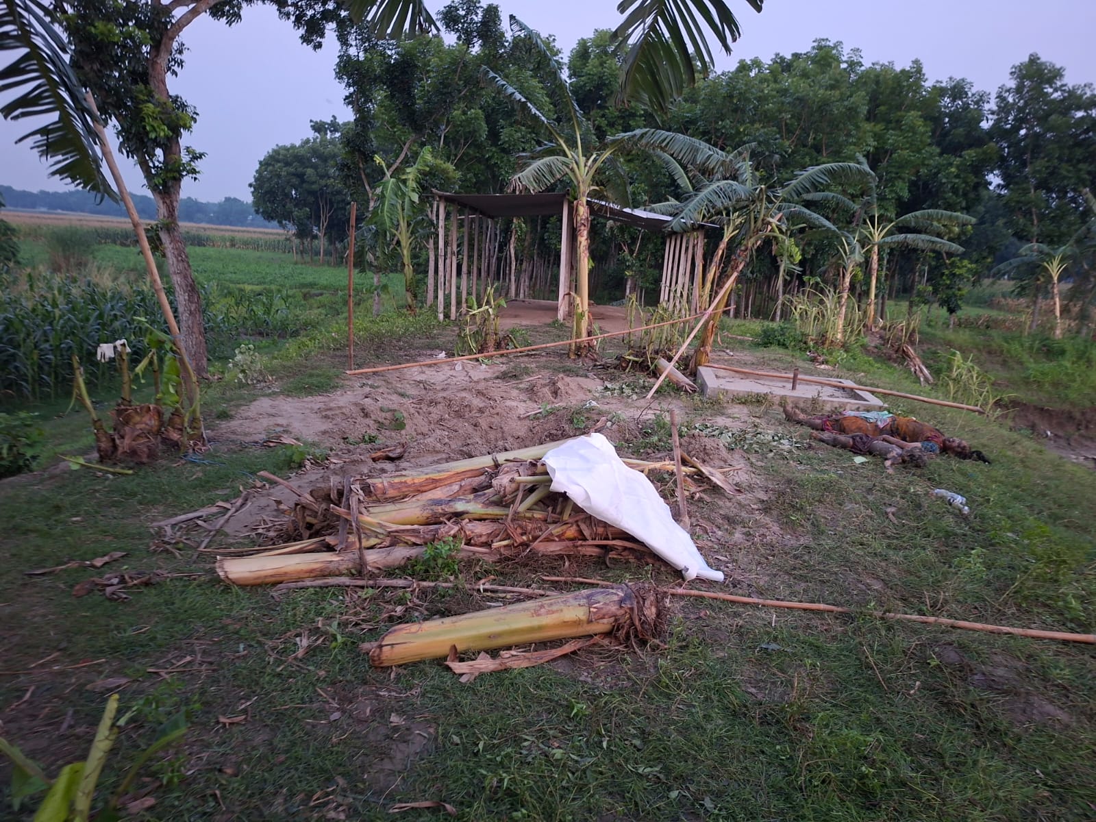 banglahour