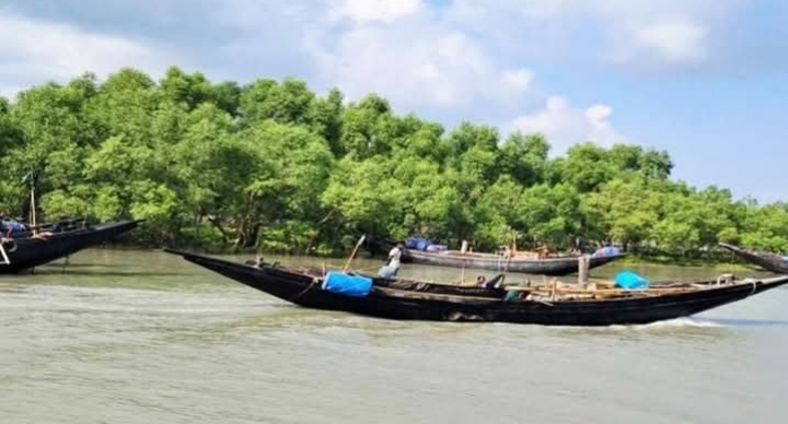banglahour
