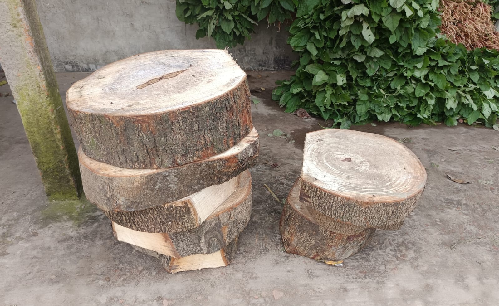 banglahour