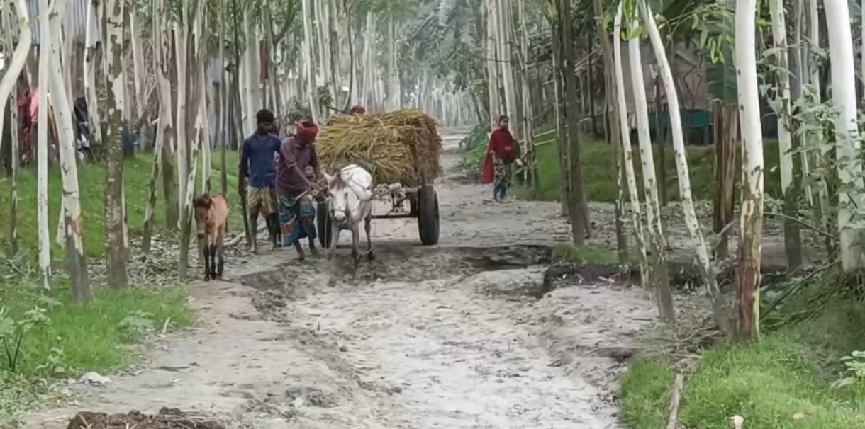 banglahour