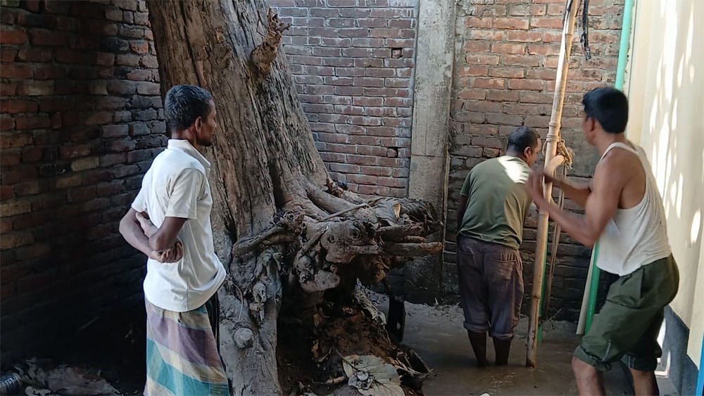 banglahour