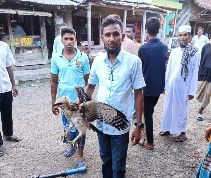 banglahour