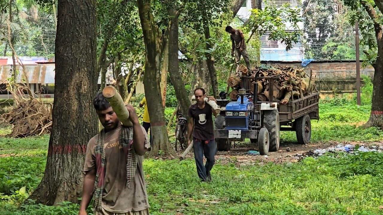 banglahour