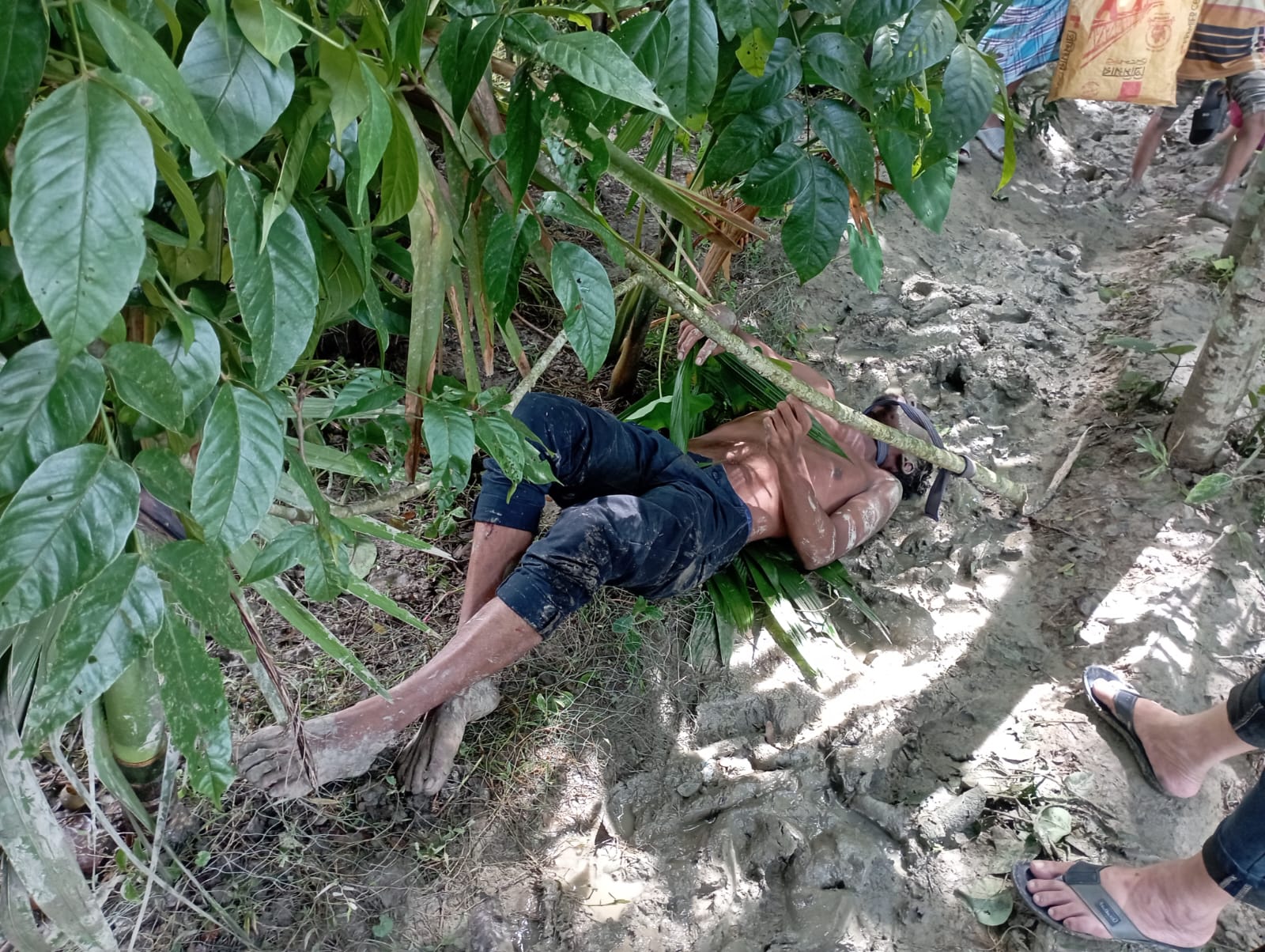 banglahour
