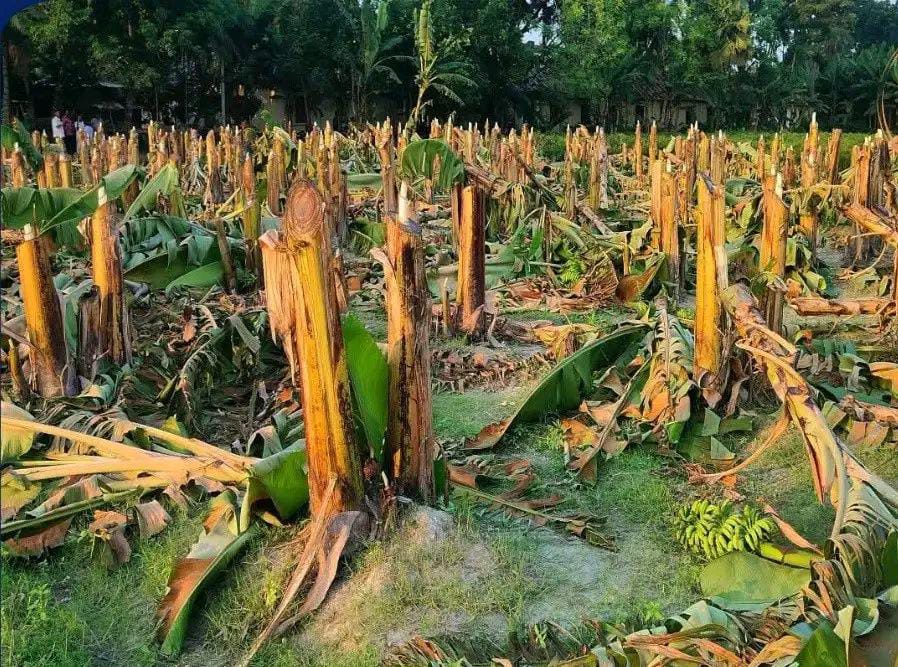 banglahour