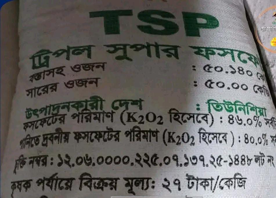 banglahour