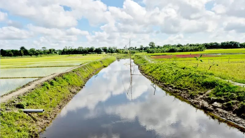 banglahour