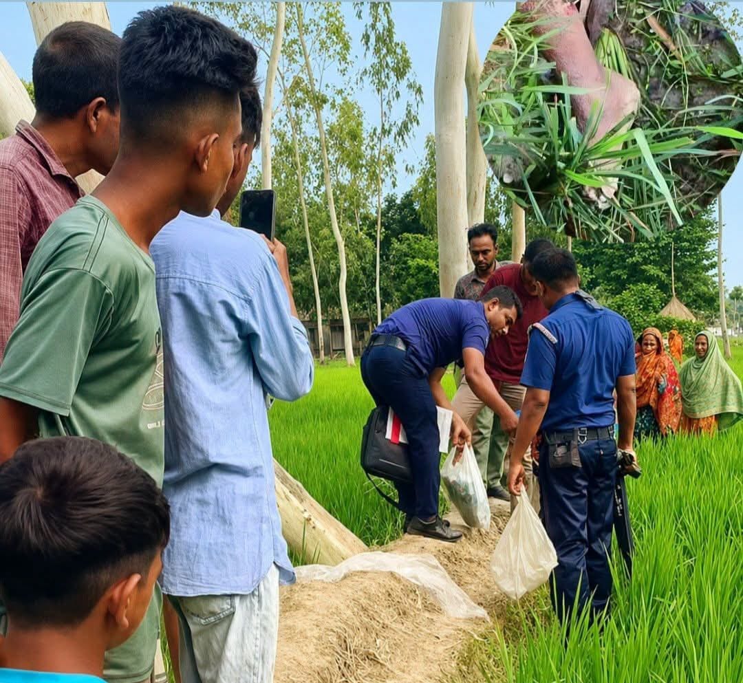 banglahour
