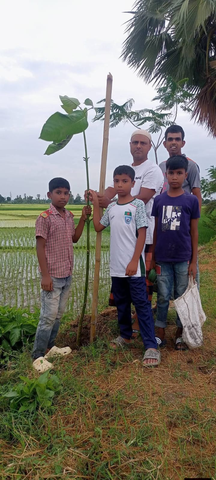 banglahour