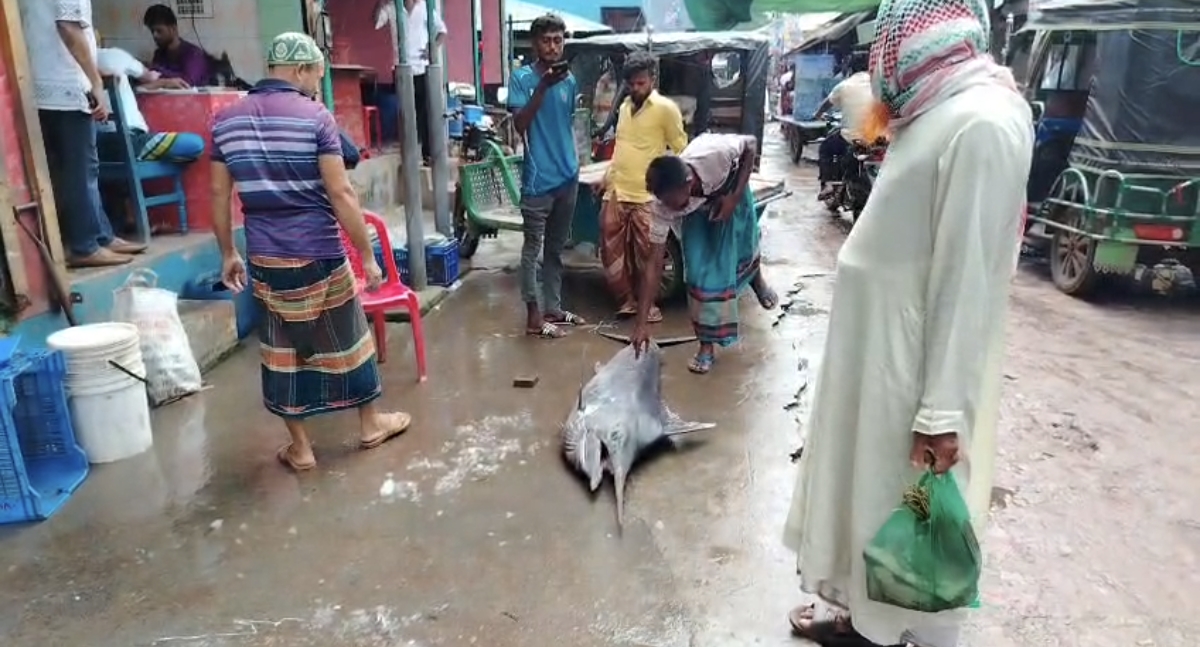 banglahour