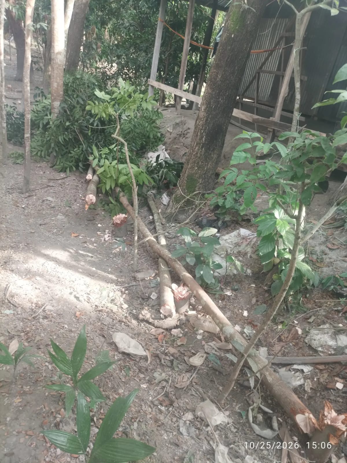 banglahour