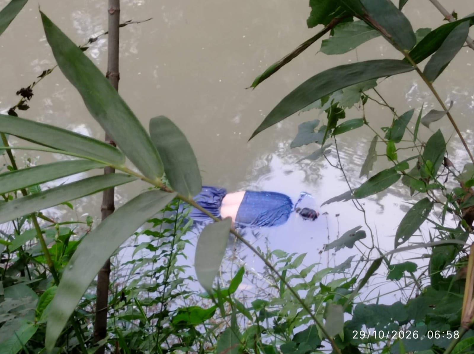banglahour